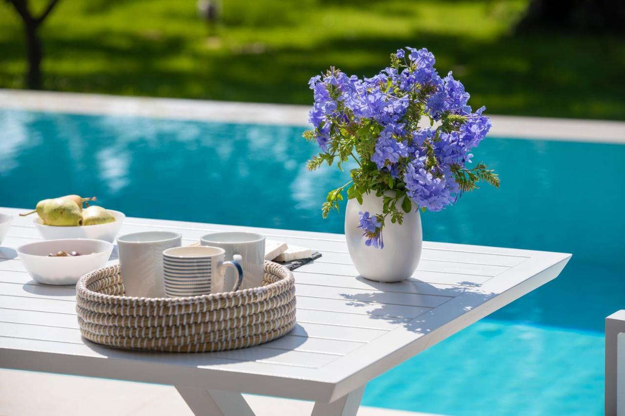 Averto Villas With Private Pool Nydri  Exteriér fotografie