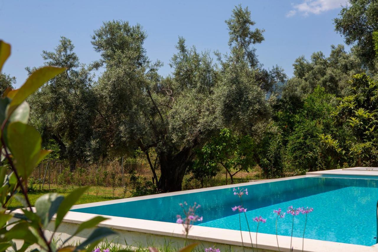 Averto Villas With Private Pool Nydri  Exteriér fotografie
