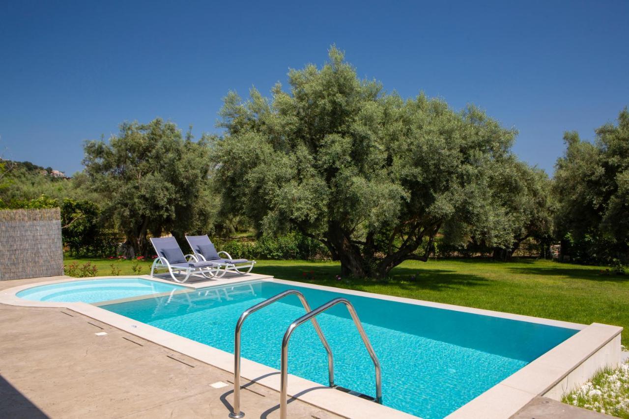 Averto Villas With Private Pool Nydri  Exteriér fotografie